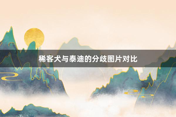 稀客犬与泰迪的分歧图片对比